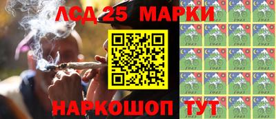 кокс Кандалакша