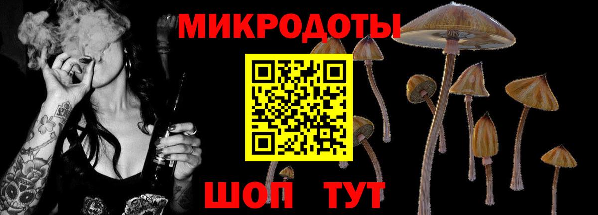 Псилоцибиновые грибы MAGIC MUSHROOMS Кушва